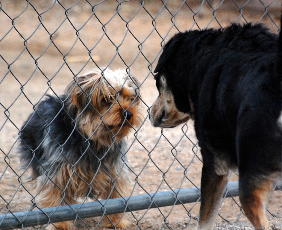 [DSC_8583%255B3%255D.jpg]