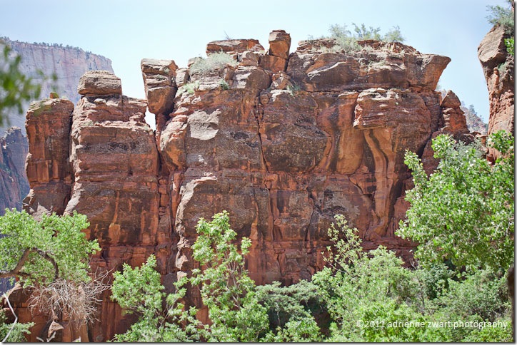 rock formation Zion National Park - photo by Adrienne Zwart