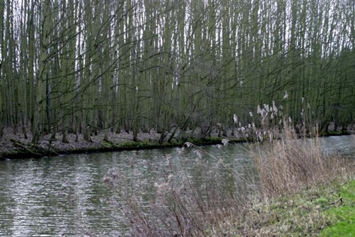 20080127 (1) (Small)