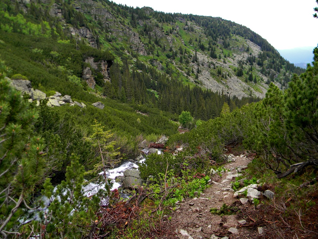 [DSCN10723.jpg]