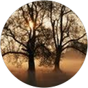 Image Google de Emilie Bois