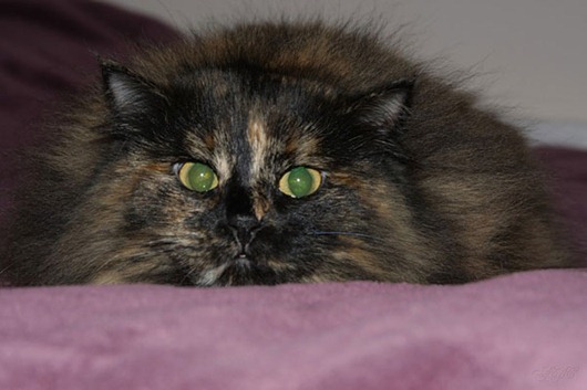 [clip_image006%255B4%255D%255B2%255D.jpg]