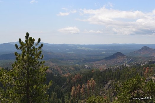 Overlooking theBlack Hills