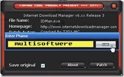 idm (3)