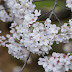 D FA Macro 100mm F2.8 WR