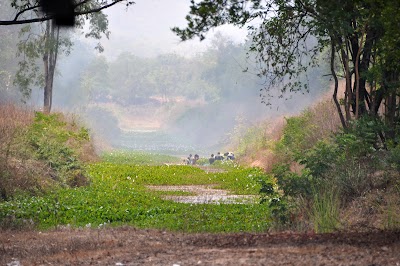DSC_0829.JPG