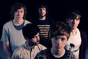 Foals