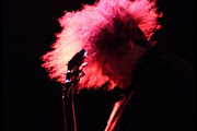 Melvins Lite