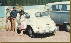 VW_beetle