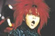 Hide