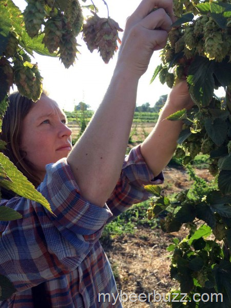 [image%255B3%255D.png]