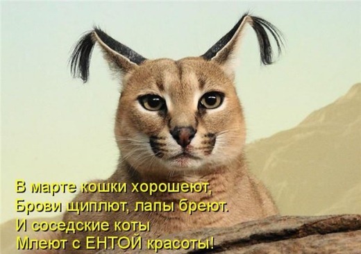 [1304078163_kotomatrix_13%255B3%255D.jpg]