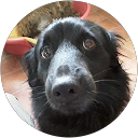 Image Google de Gillou 43