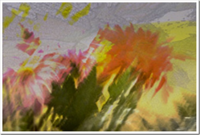 Flowers in abstract with pdpa sibelle