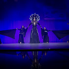 IMG_7604.jpg