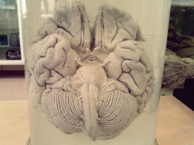 [2011-09-12%252010.43.57%255B5%255D.jpg]