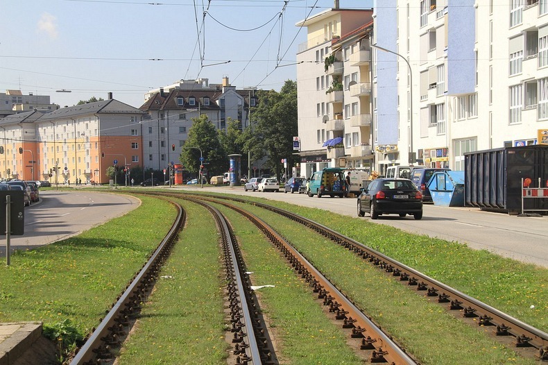 grass-tram-tracks-10 grass-tram-tracks-10