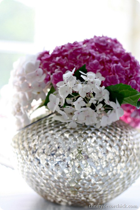 pink white hydrangea