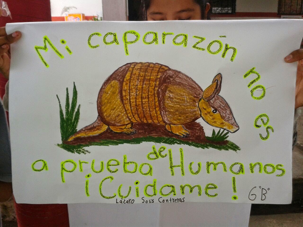 Carteles De Animales En Peligro De Extincion nicolasbravo035.blogspot.com
