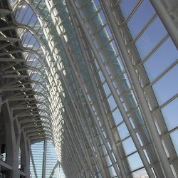 41.- Calatrava. Museo de Ciencias