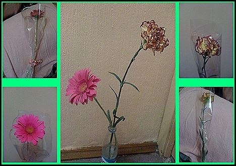flowers(2)