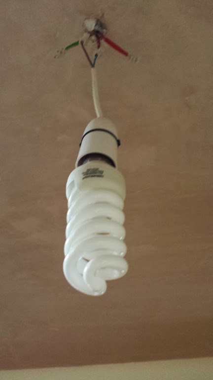 [20131101_101010_Tynan%2520Close%255B7%255D.jpg]