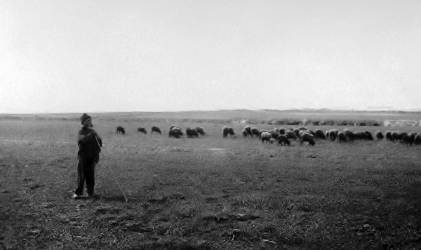 [Terrenos%2520do%2520futuro%2520aeroporto%25201939%255B6%255D.jpg]