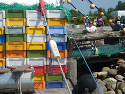 Radtour Schönberg - Wendtorf - 22