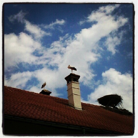 [IMG_20120803_162134%255B5%255D.jpg]