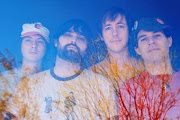 Animal Collective