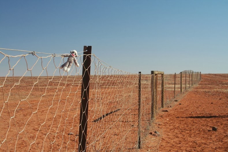 Dingo Fence Australia s 5 600Km Dog Fence Amusing Planet dingo-fence-australia-s-5-600km-dog-fence-amusing-planet