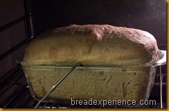 sprouted-wheat-bread 033