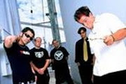 Zebrahead