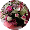 Image Google de armony luc