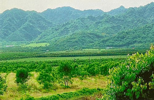 老實修行 以戒為師 一味 恆為一切 平等說法 法華經 藥草喻品第五