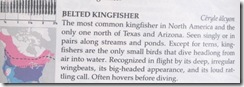 kingfisher info