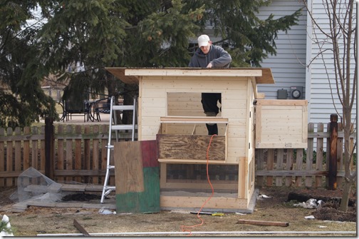 Backyard Chickens 101: Picking a Chicken Coop Backyard Chickens 101: Picking a Chicken Coop