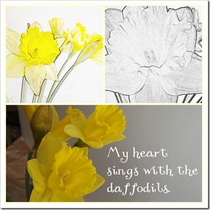 daffodil five mosiac