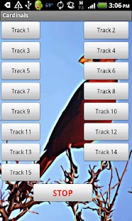 How to get Cardinal Bird Sound Effects 1.0 apk for android