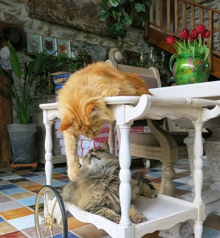 [2-IMG_0669%255B4%255D.jpg]