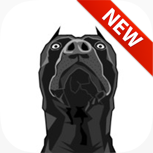 Pitbull Wallpapers.apk 1.0