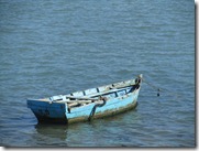 IMG_5249 IMG_5249