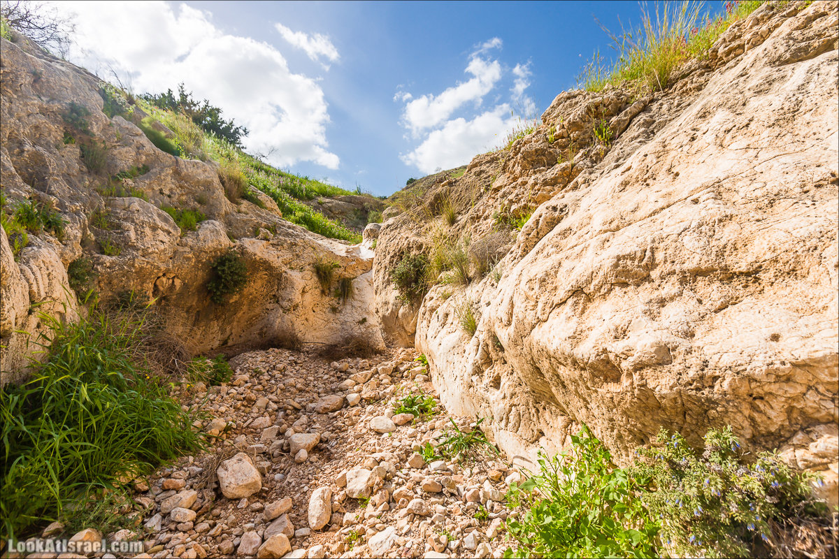 LookAtIsrael.com - Ручей (нахаль) Талкид | Nahal Talkid | נחל תלקיד