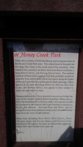 The Trees of Honey Creek Park 