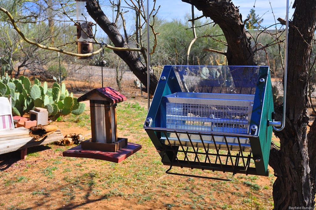 [DSC_0004%255B4%255D.jpg]