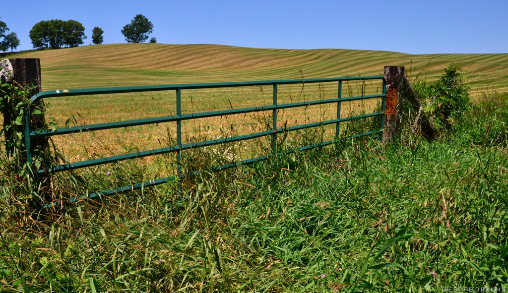 [DSC_0055%255B5%255D.jpg]