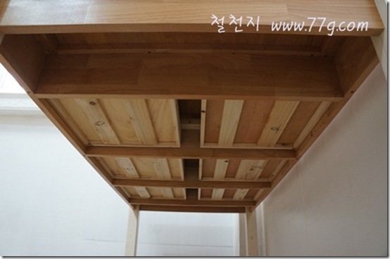 철천지DSC00023-20120426-090928