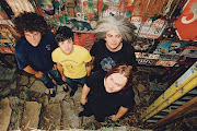 Melvins Lite