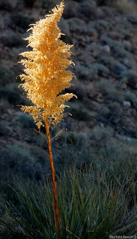 [DSC_0551%255B6%255D.jpg]