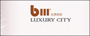 Luxury City B111 Christmas Super Sale